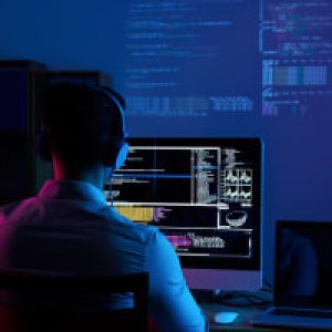 Digital Forensics Examiner