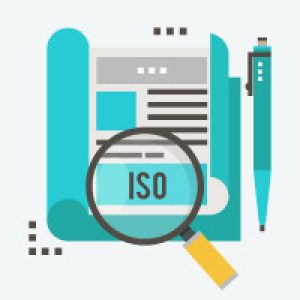 ISO Management System Audit Techniques and Best Practices