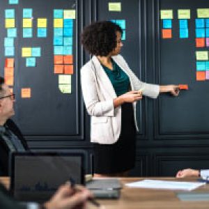 Modern Project Management - Quality, Risk, Procurement and Project Closeout
