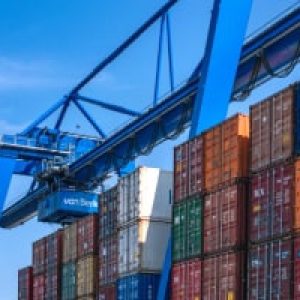 Ship Stowage Handling - Timber and Container Cargo