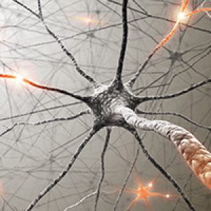 Neuroplasticity