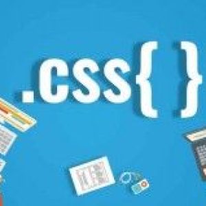 CSS – The Complete Guide (incl. Flexbox, Grid & Sass)