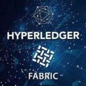 Hyperledger Fabric and Composer – First Practical Blockchain