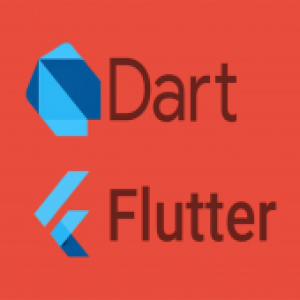 Flutter Beginner Tutorial – Build own App