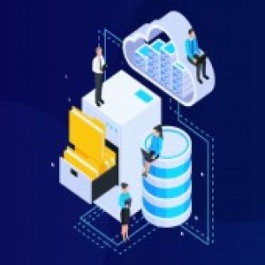 The Complete Microsoft SQL Server Bootcamp