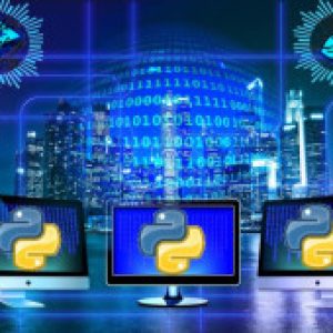 Python Learn by Python Projects & Python Quizzes in 2021