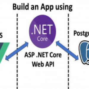 Vue JS, .NET Core and Postgre SQL Full Stack Web Development