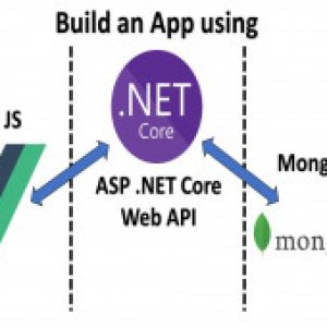 Vue JS, .NET Core and Mongo DB Full Stack Web Development