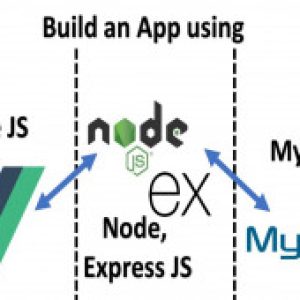 Vue JS, Node, Express and MySQL Full stack Web Development