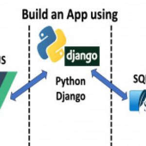 Vue JS, Django and SQL Lite Full Stack Web Development