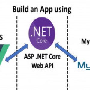 Vue JS, .NET Core and MySQL Full Stack Web Development