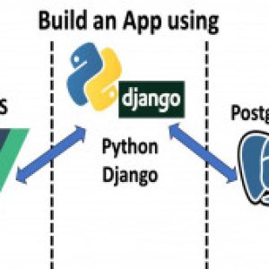 Vue JS, Django and Postgre SQL Full Stack Web Development