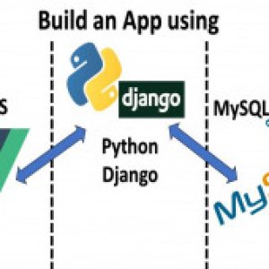 Vue JS, Django and MySQL Full Stack Web Development