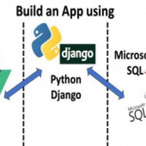 Vue JS, Django and SQL Server Full Stack Web Development