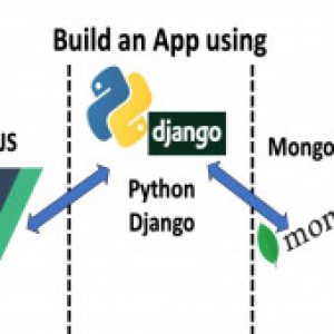 Vue JS, Django and Mongo DB Full Stack Web Development