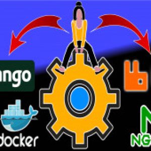 Django REST API with Docker from Development to Production