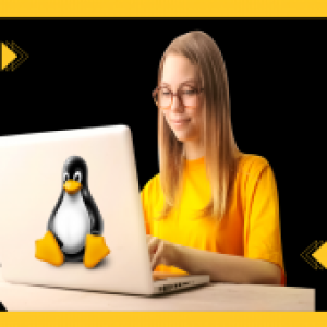 Linux bash shell scripting including AWK,SED and 10 projects
