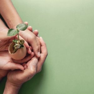 Responsibility In the Workplace