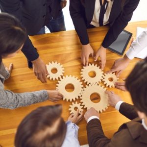 Transition Program Online – Management